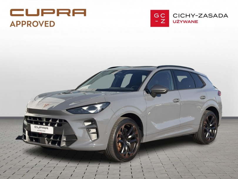 Cupra Terramar 2024