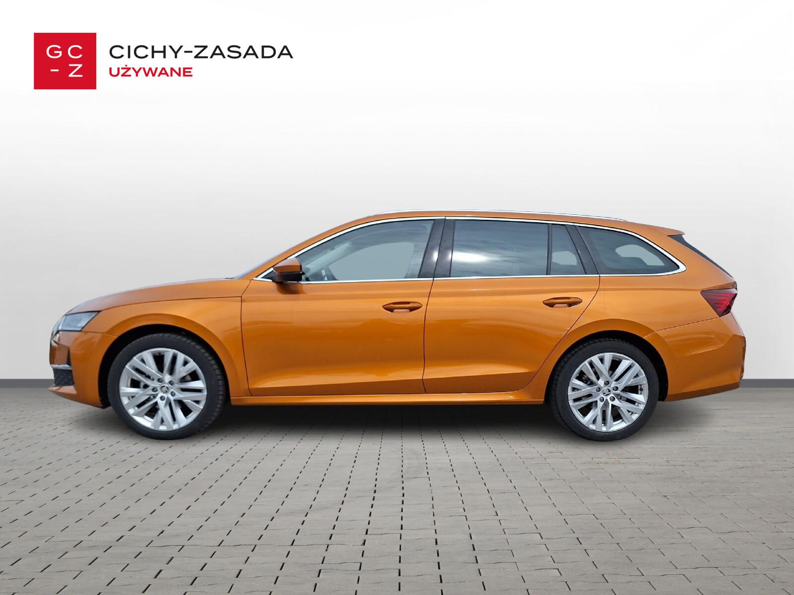 Selection 1,5 TSI 115KM DSG m-HEV, Salon Polska 1