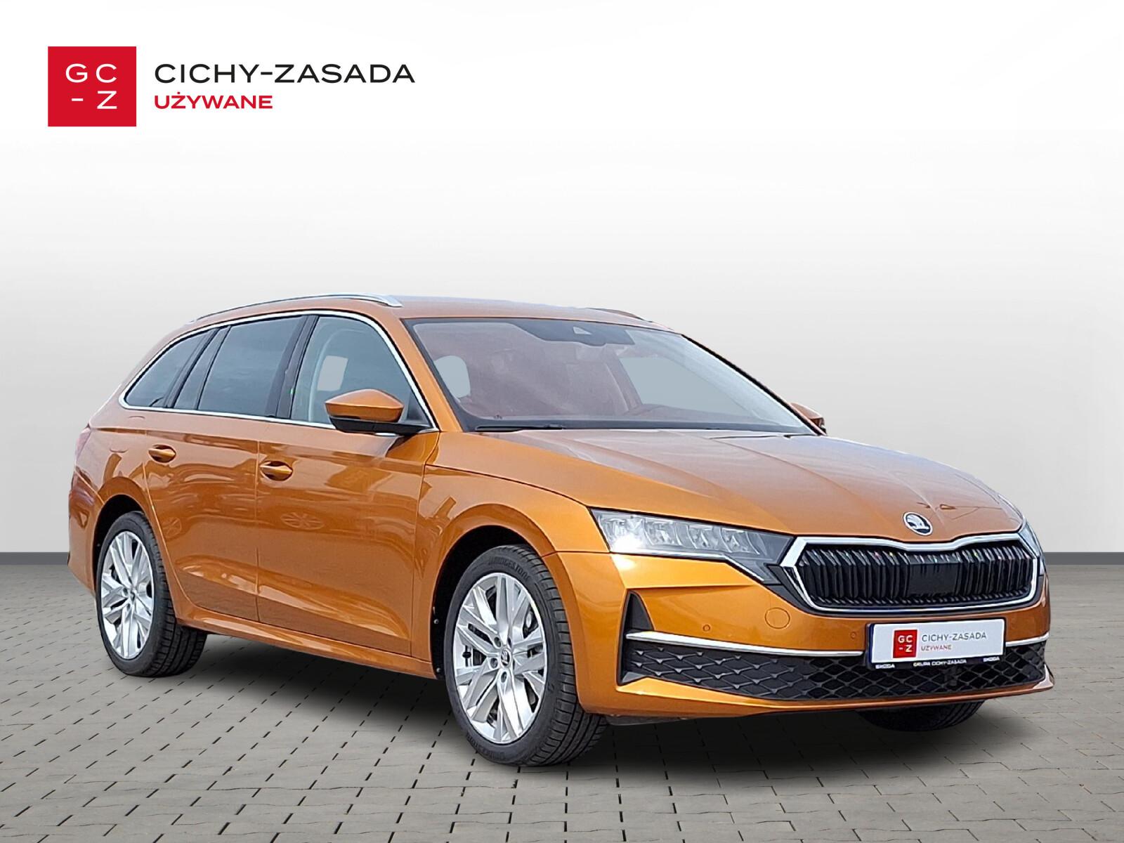 Selection 1,5 TSI 115KM DSG m-HEV, Salon Polska 6