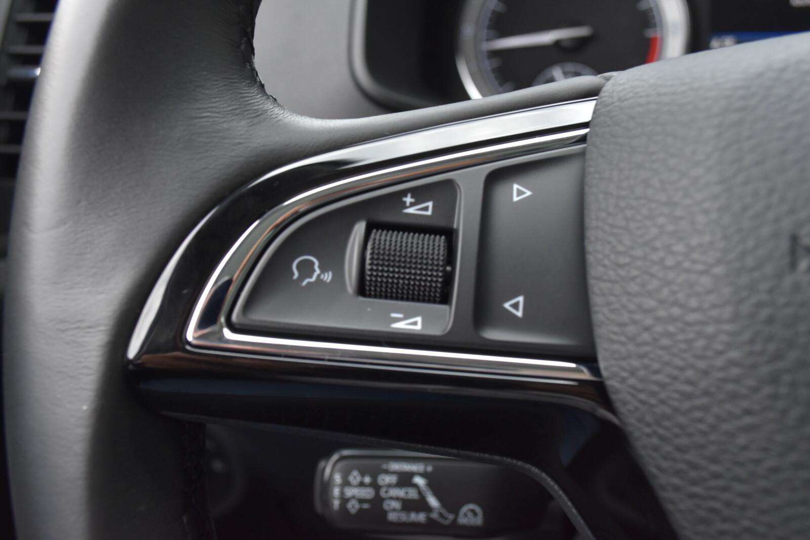 SalonPL TDI 150 KM Style NAVI Comfort Kamera LED CANTON Panorama ASO 13