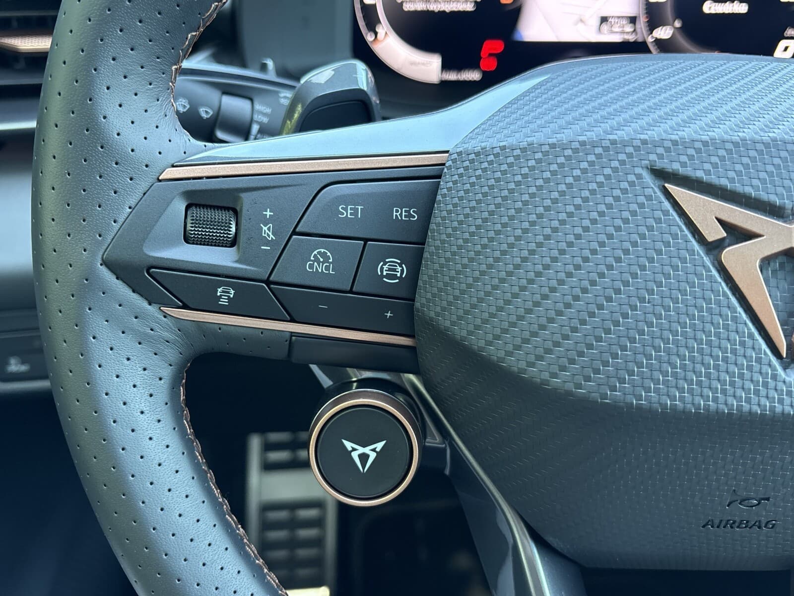 Cupra Terramar