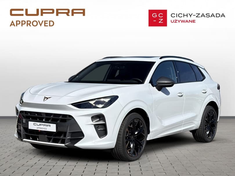 Cupra Terramar 2025