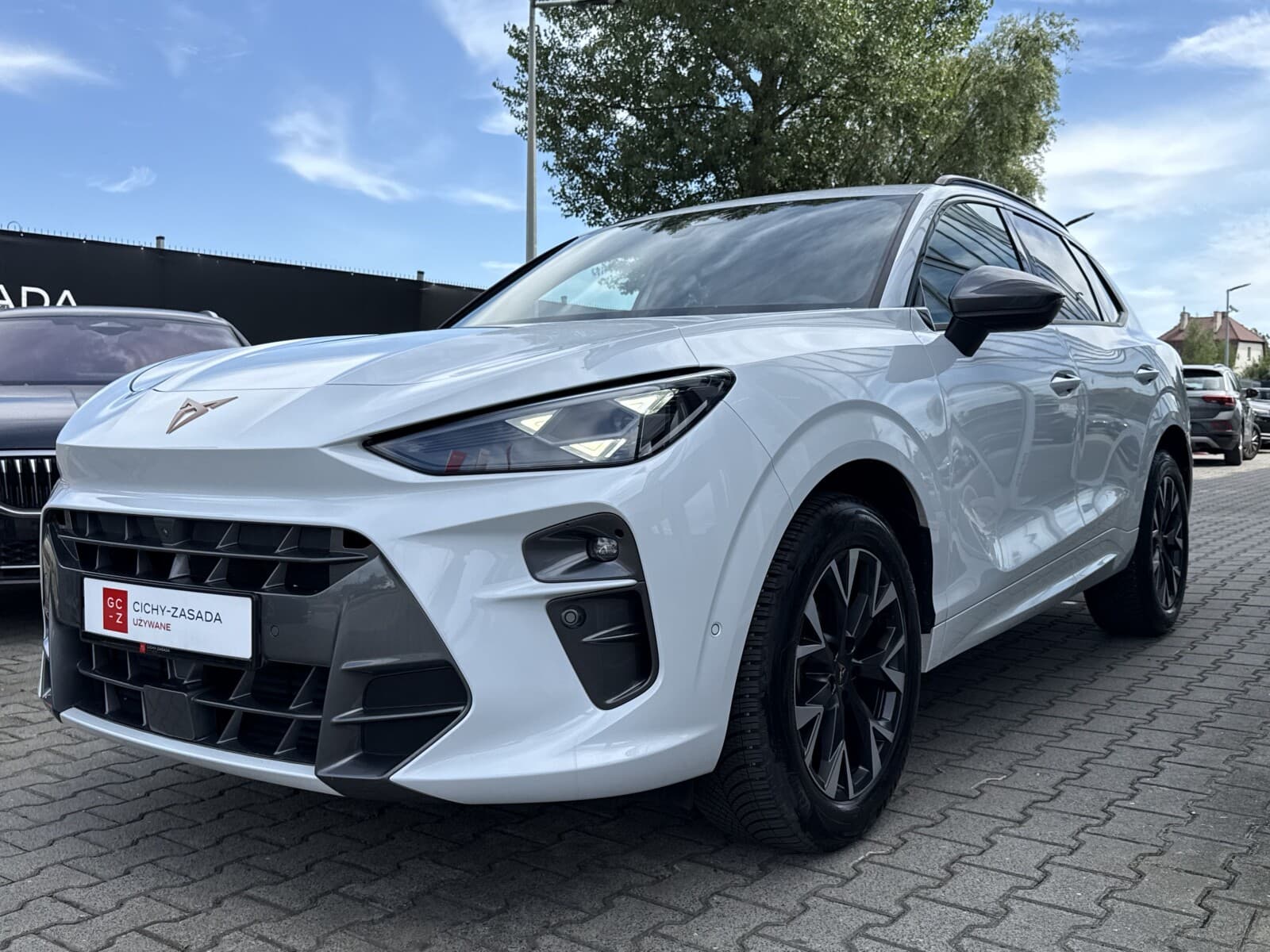 Cupra Terramar