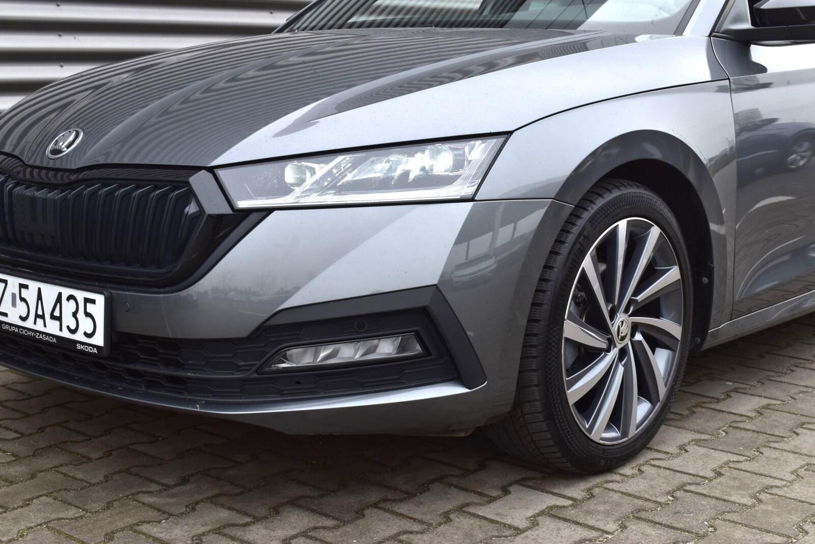 SalonPL Style 150KM e-tec Style Dynamic Selection Hak 18"MatrixVAT 35