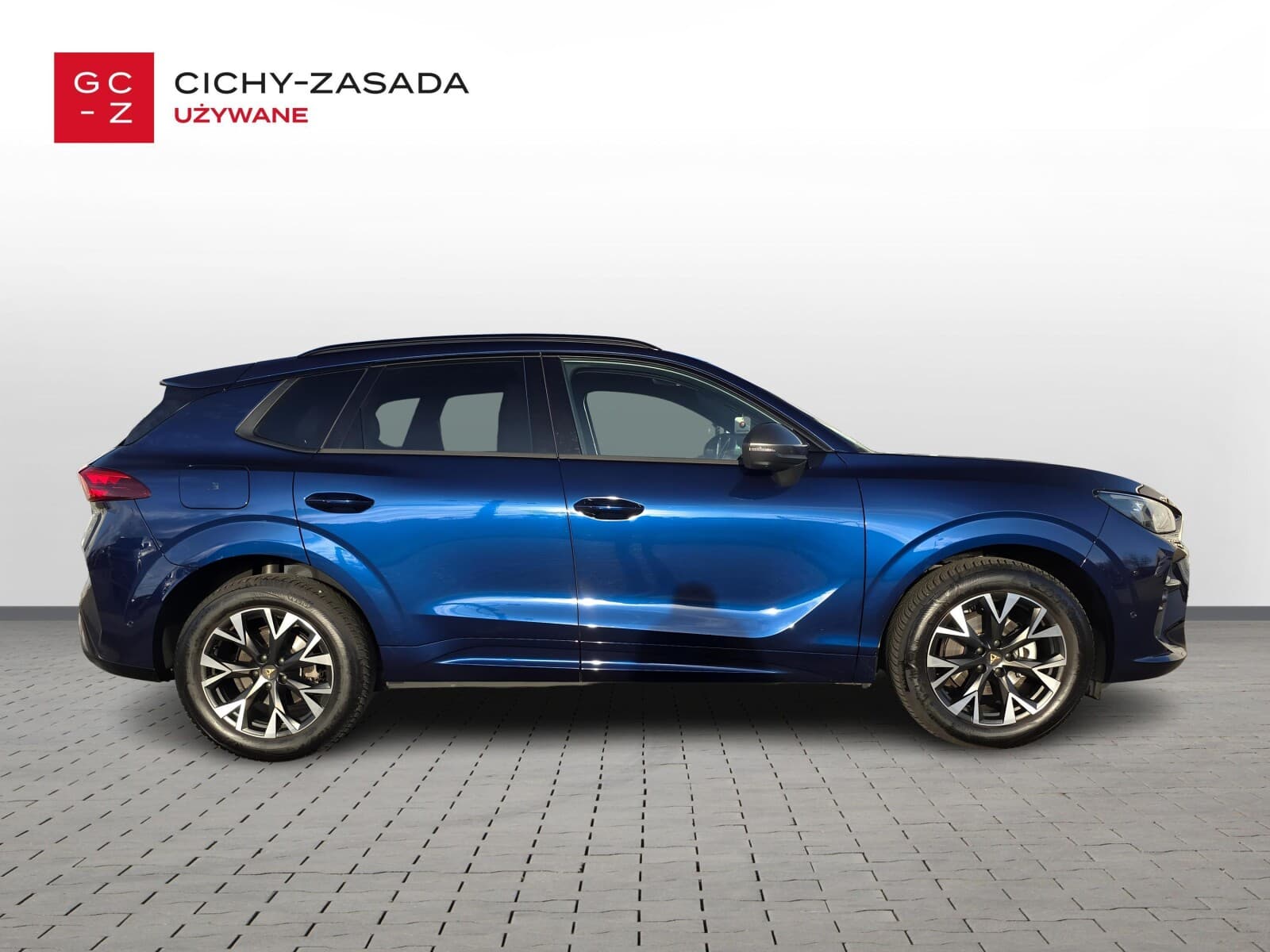 Cupra Terramar