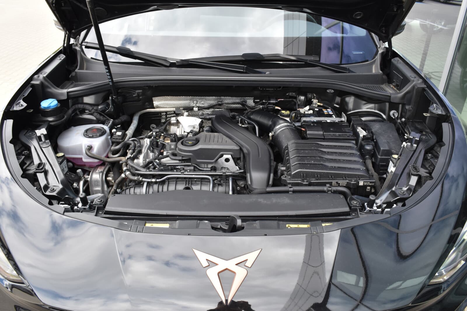 Cupra Terramar