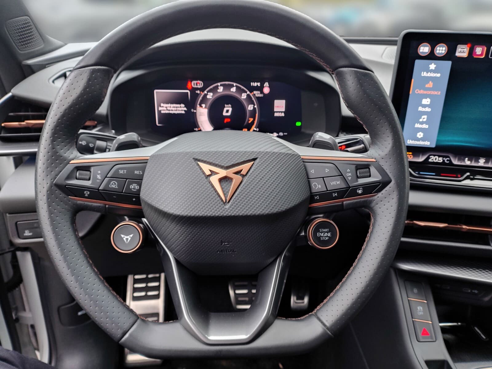 Cupra Terramar