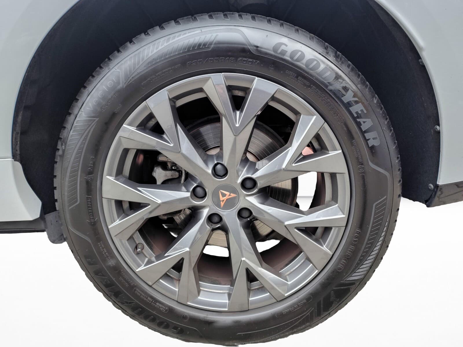 Cupra Terramar