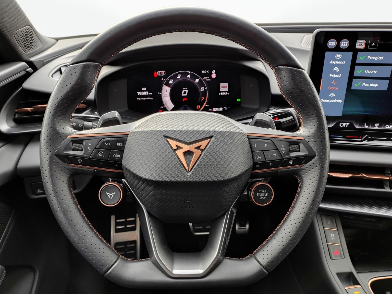 Cupra Terramar